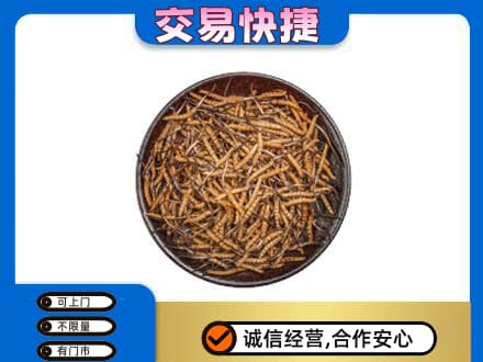 沛县回收散虫草